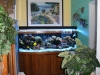 aquariums-1b