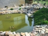 hickory_01