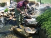 hickory_04